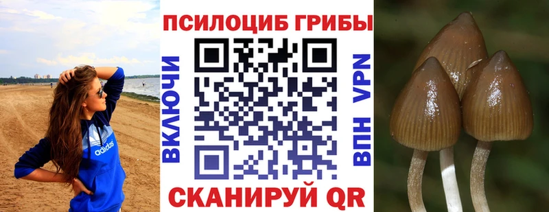 Галлюциногенные грибы GOLDEN TEACHER  MEGA ссылки  Болотное 